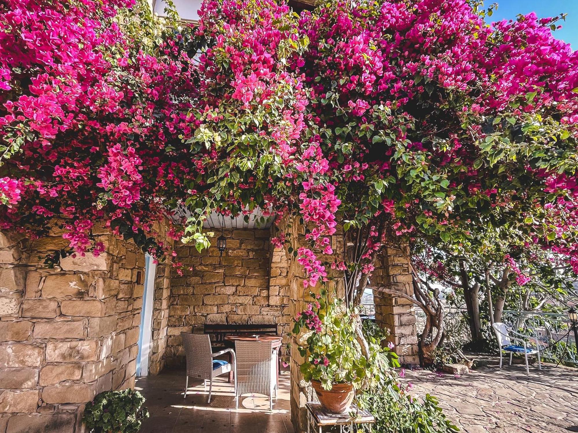 Cyprus Villages Hotel & Restaurant - Central Location - Bed & Breakfast - With Access To Pool And Stunning Views Tochni Exteriér fotografie