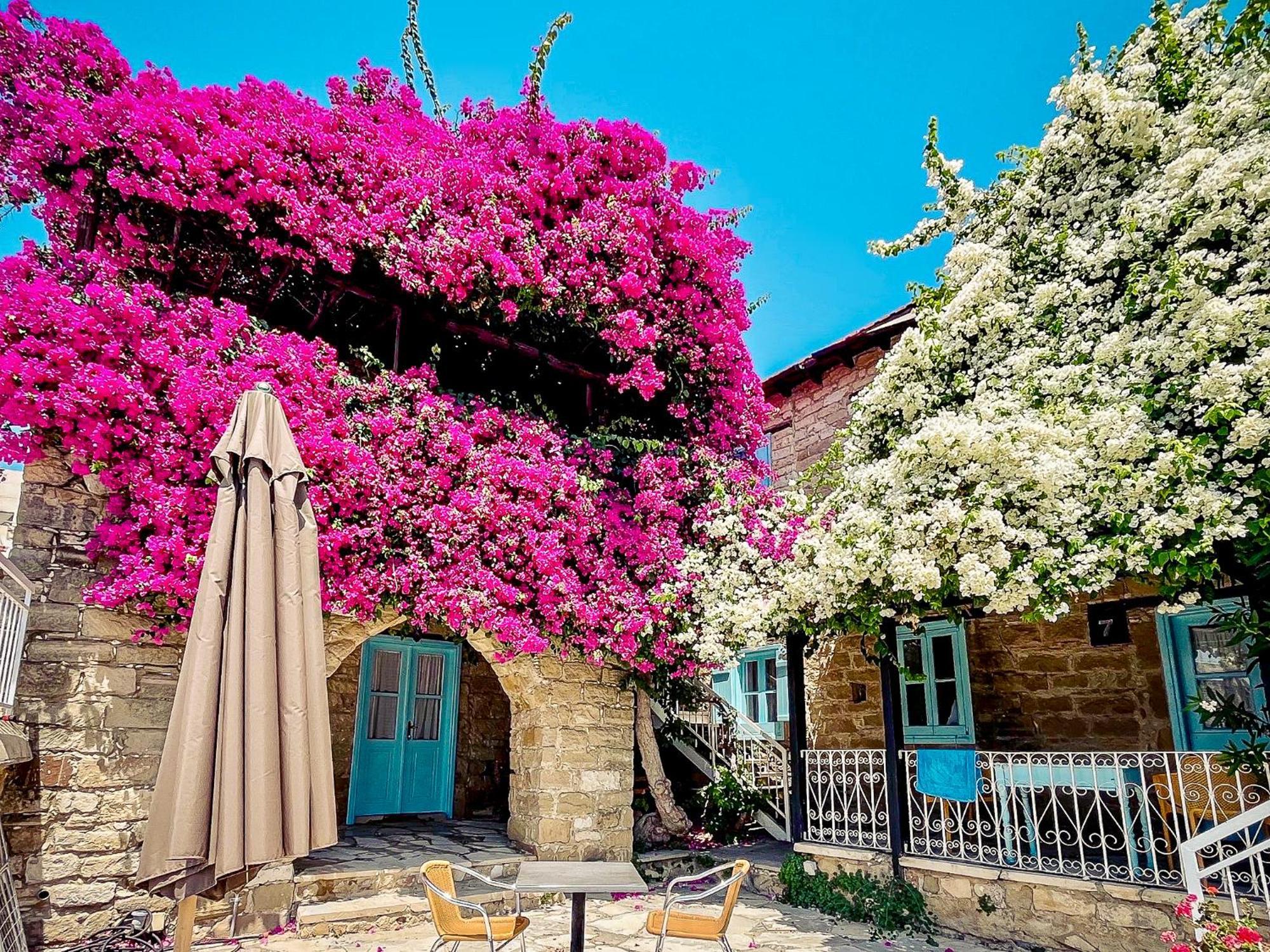 Cyprus Villages Hotel & Restaurant - Central Location - Bed & Breakfast - With Access To Pool And Stunning Views Tochni Exteriér fotografie