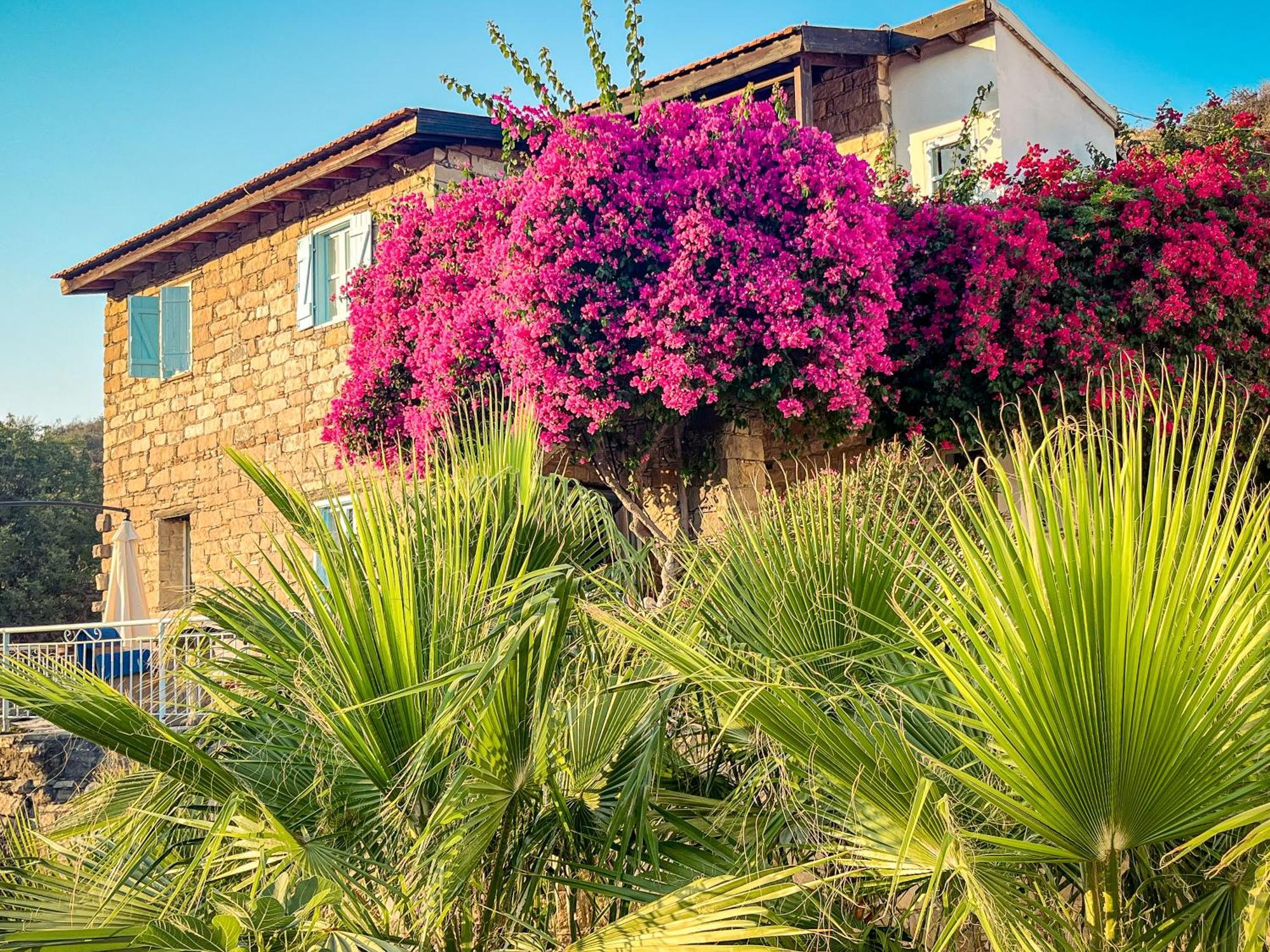 Cyprus Villages Hotel & Restaurant - Central Location - Bed & Breakfast - With Access To Pool And Stunning Views Tochni Exteriér fotografie